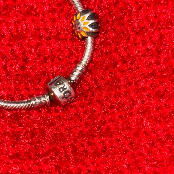 Pandora - Picture 4 of 5